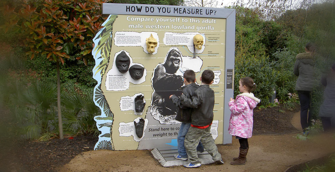 London Zoo How Do You Measure Up