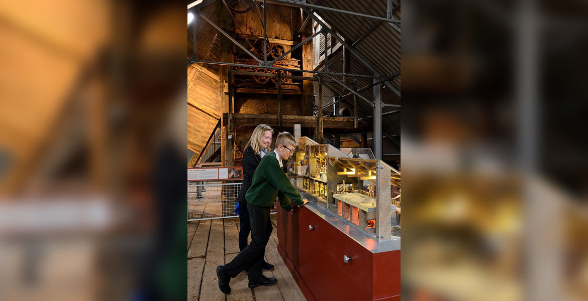 Lion Salt Works People Viewing Model