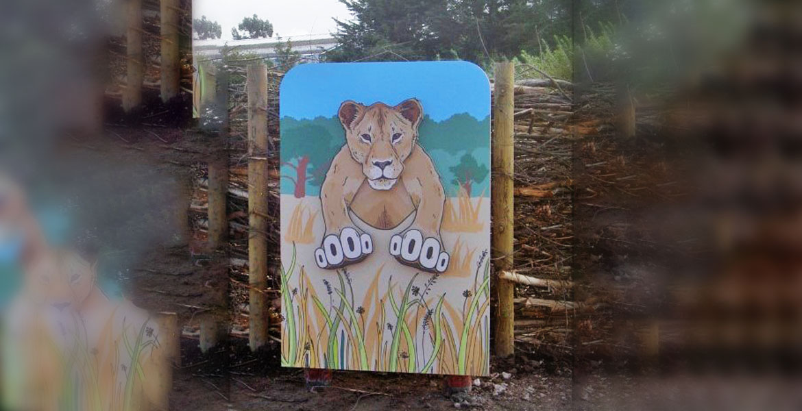 Chester Zoo 3D Lion Picture