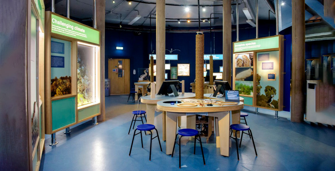 Scottish Seabird Centre