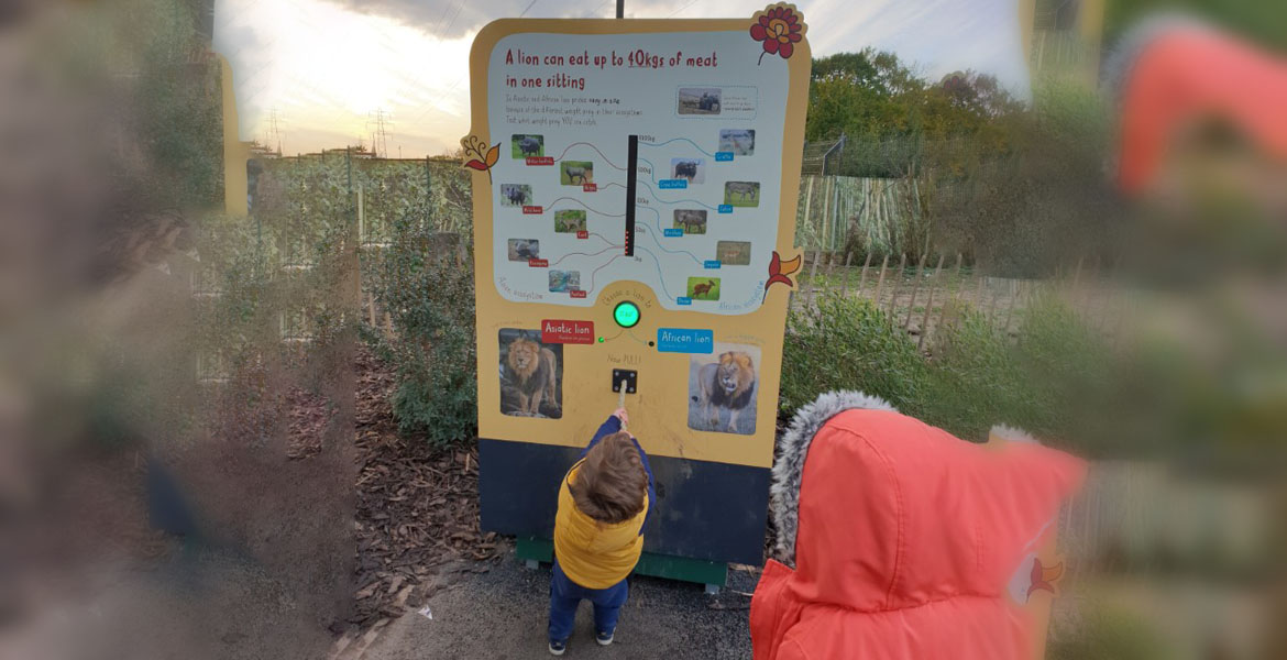 Chester Zoo Lion Strength Game